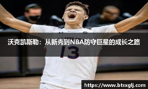 乐动LDSports官网
