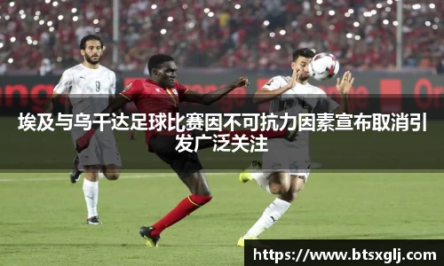 埃及与乌干达足球比赛因不可抗力因素宣布取消引发广泛关注